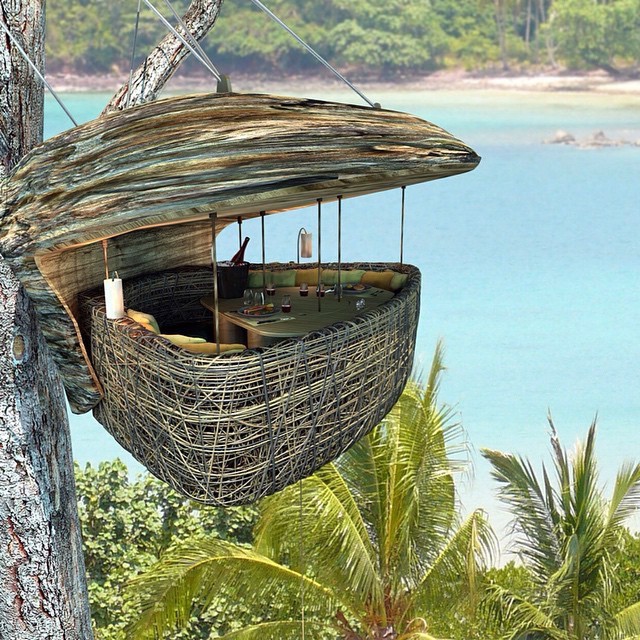 タイ・クート島で人気のツリーポッドダイニング！絶景の鳥の巣レストランで絶品料理を
