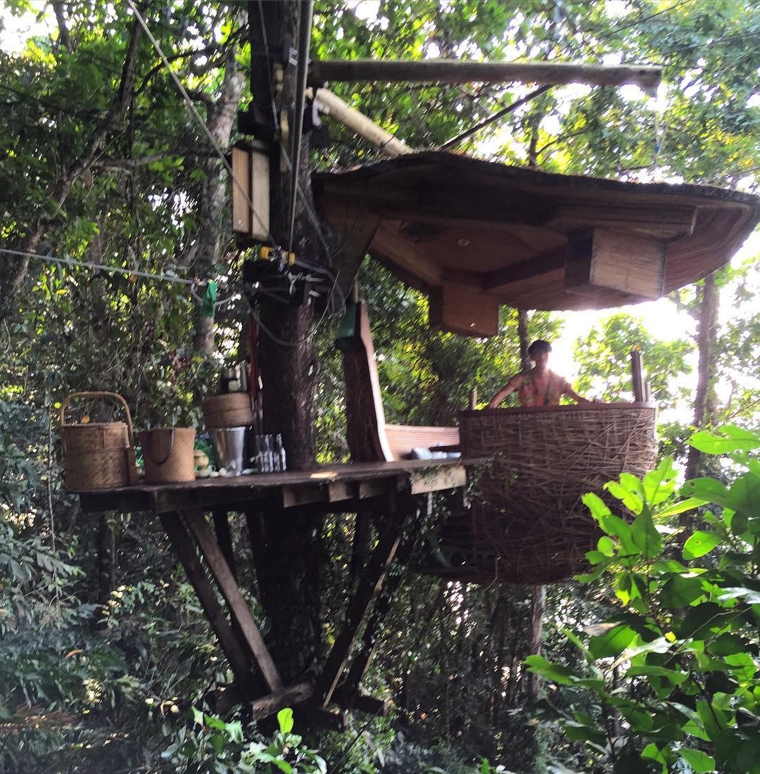 タイ・クート島で人気のツリーポッドダイニング！絶景の鳥の巣レストランで絶品料理を