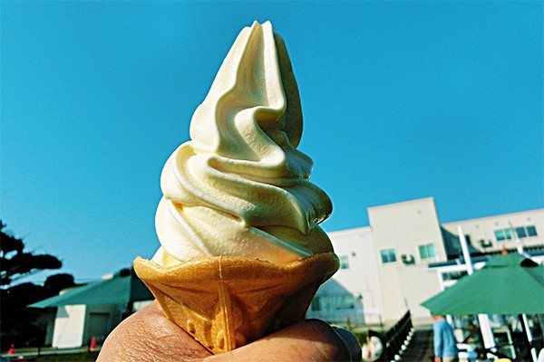 【函館・南茅部方面】車で行きたい北海道のおいしいソフトクリーム４選