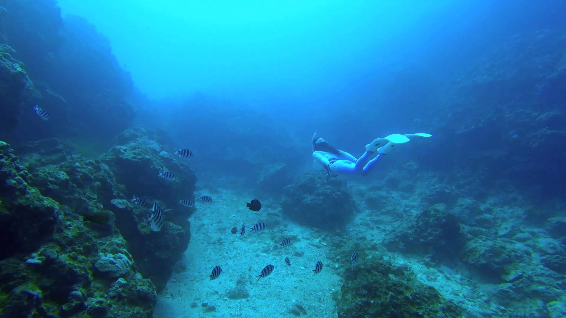 沖縄・真栄田岬の「青の洞窟」でスキューバ体験！日本のカプリ島で水中絶景遊泳♪