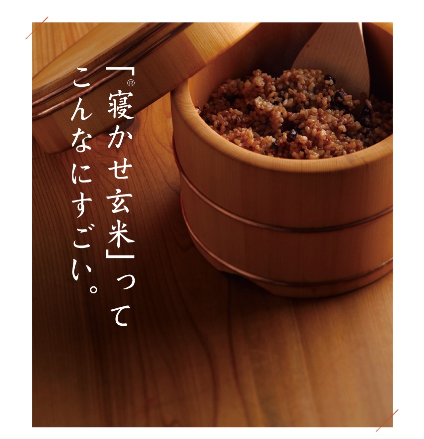 東京池袋「寝かせ玄米おむすび いろは」特集！ランチは素材にこだわる純和食で決まり