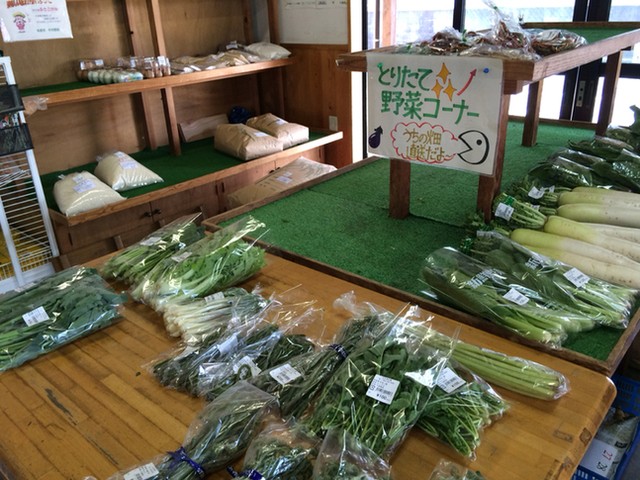 千葉県四街道市「よもぎの里 キッチンたぬき 」！お袋の味を楽しめる穴場的食事処に行こう