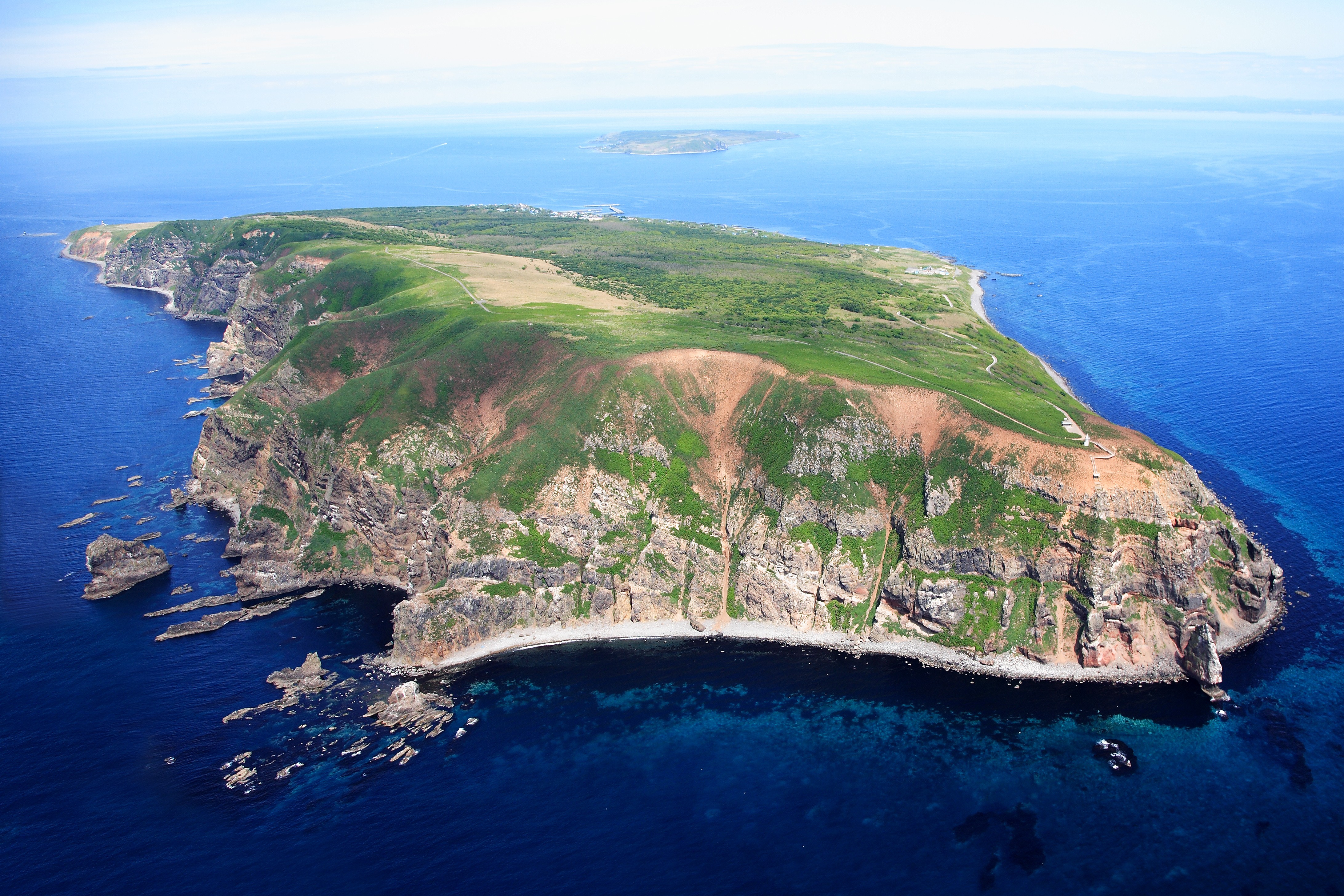 北海道・羽幌港からフェリーで行く天売島は海鳥の楽園！野良猫との戦いも！