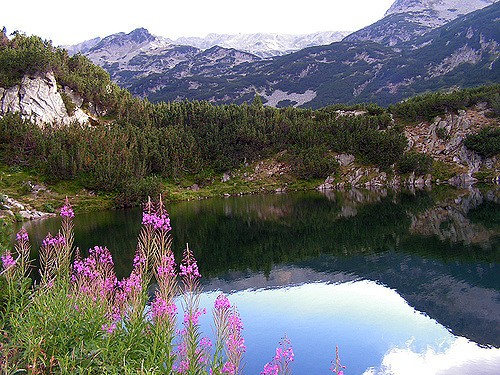ブルガリア屈指の絶景が広がる「ピリン国立公園」特集！美しきおとぎの国の魅力に迫る
