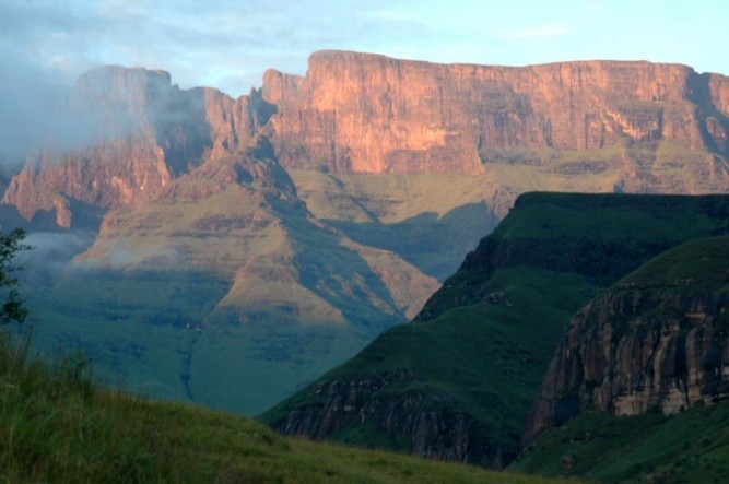 南アフリカ世界遺産「ケープ植物区保護地域群」の見どころ特集！まだまだ知らない地球がそこに