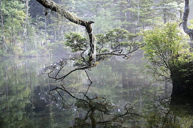 長野県松本市上高地で感動の絶景体験！飛騨登山の拠点でこれぞ日本の景勝地に出会う