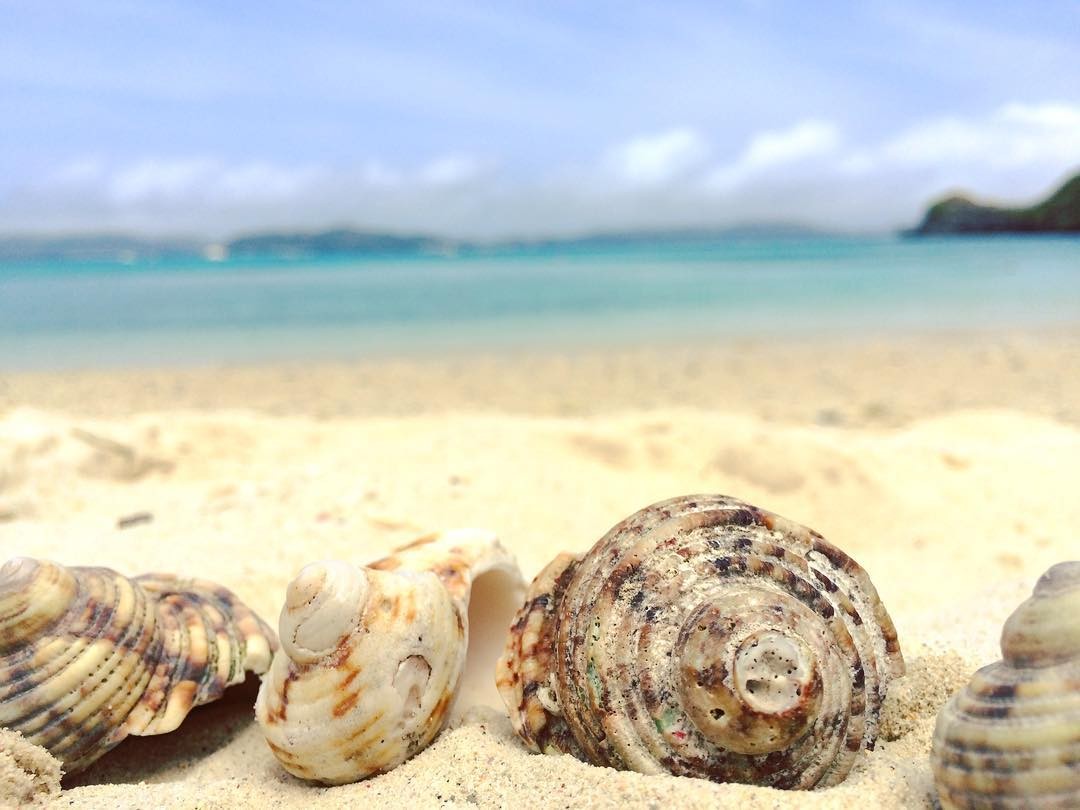 【慶良間諸島】渡嘉敷島・座間味島・阿嘉島・慶留間島の世界を魅力する美しさ！