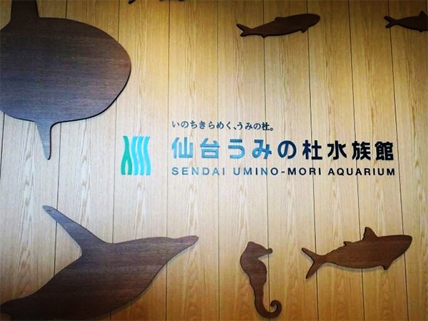 東北最大級！仙台うみの杜水族館のイルカショーと珍しい魚の展示が新しいと話題！