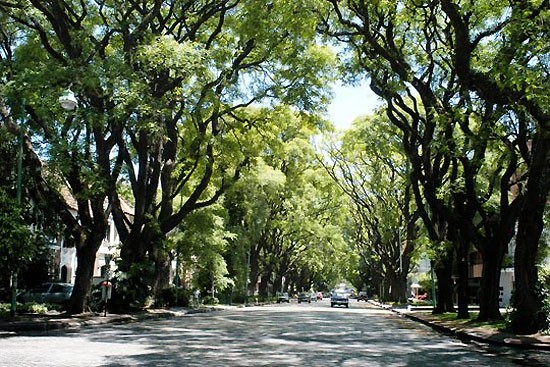 アルゼンチン基本情報【季節・気候・服装編】