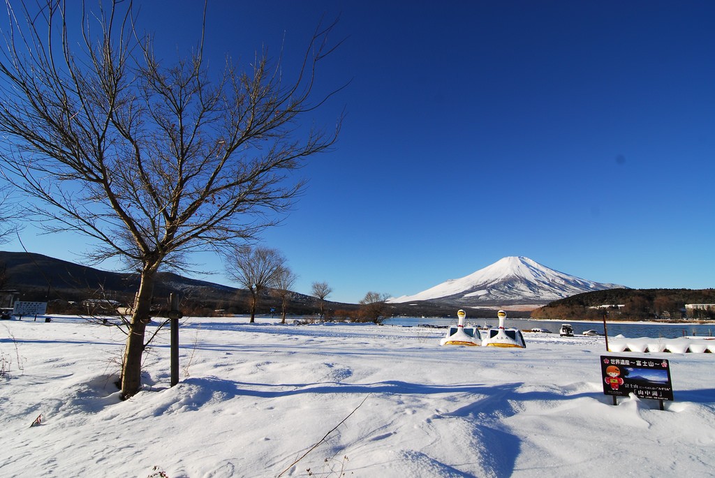 世界遺産富士山の絶景特集！富士五湖と富士の姿を眺め方