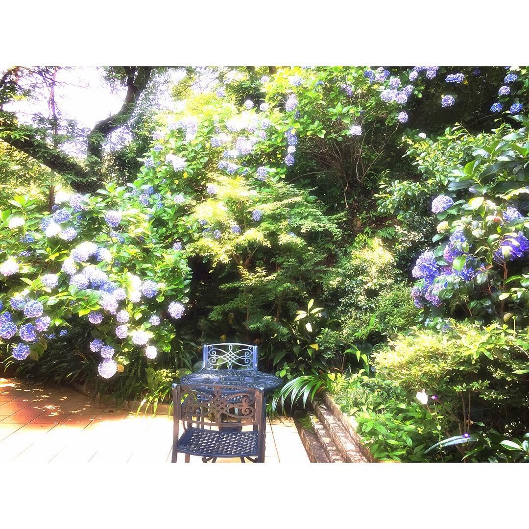 鎌倉の天空カフェ「樹ガーデン」が大人気！まるで天空の城ラピュタ！