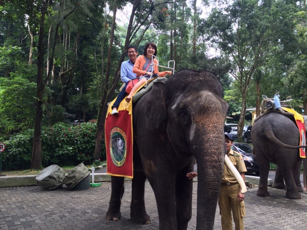 インドネシア・ボゴール地区のタマンサファリは天国に一番近い動物園！