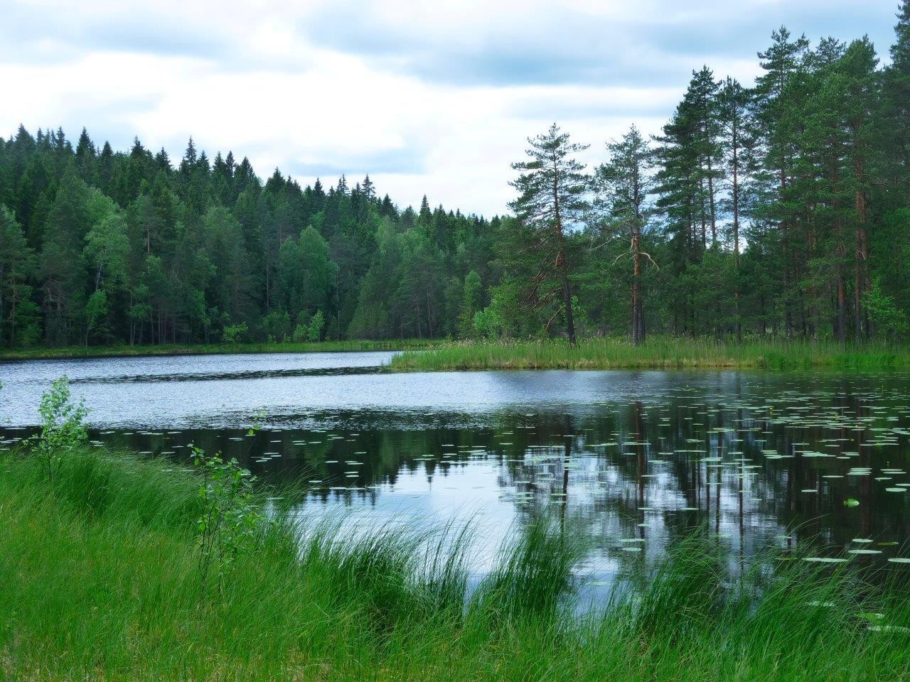 フィンランド・ヘルシンキ旅行を最高に楽しむためのおすすめプラン4選！北欧の自然の中で旅の思い出作りを