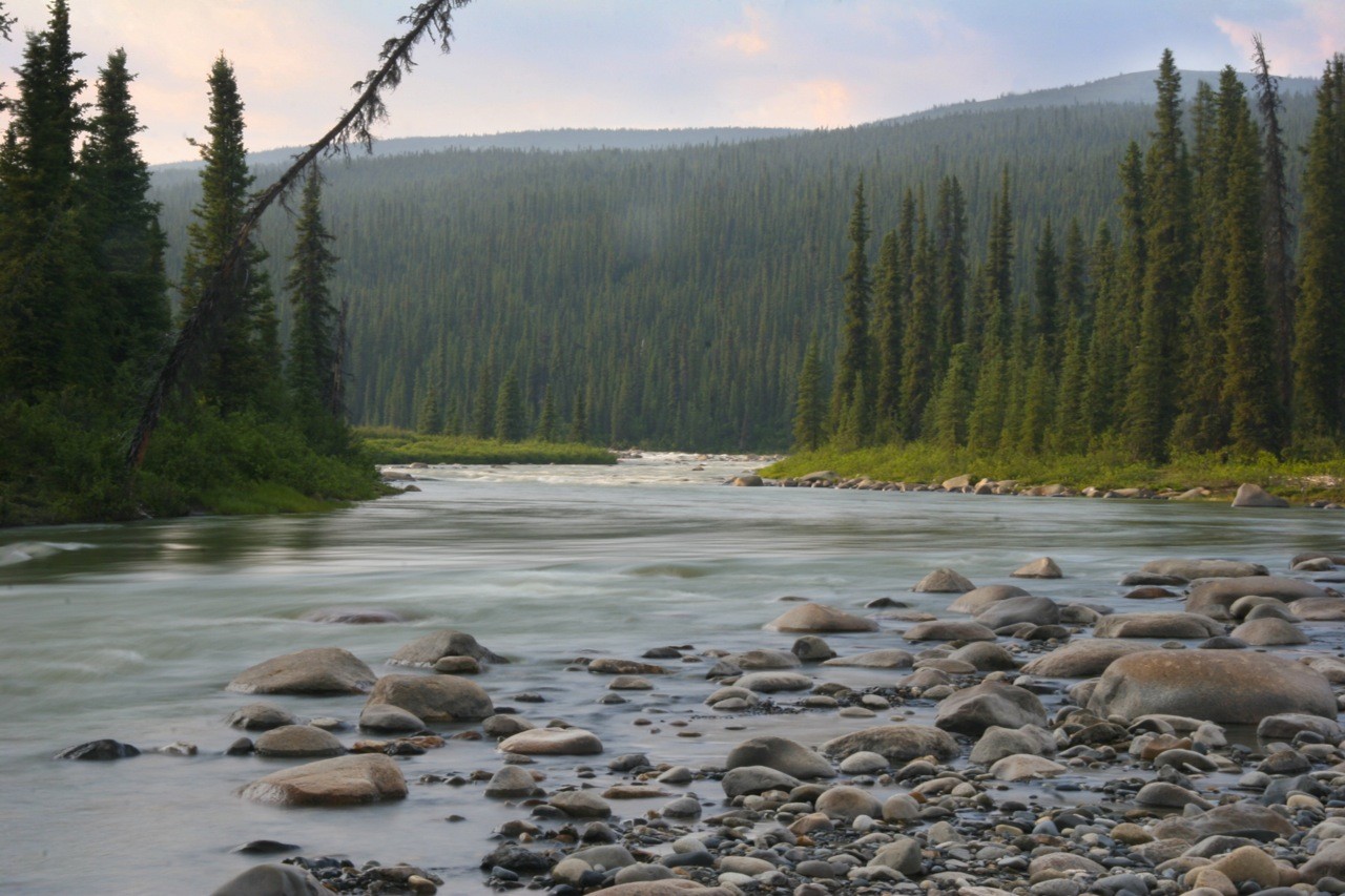 カナダ・ユネスコ世界自然遺産に登録された自然公園まとめ！バイソンや隕石の痕跡も！