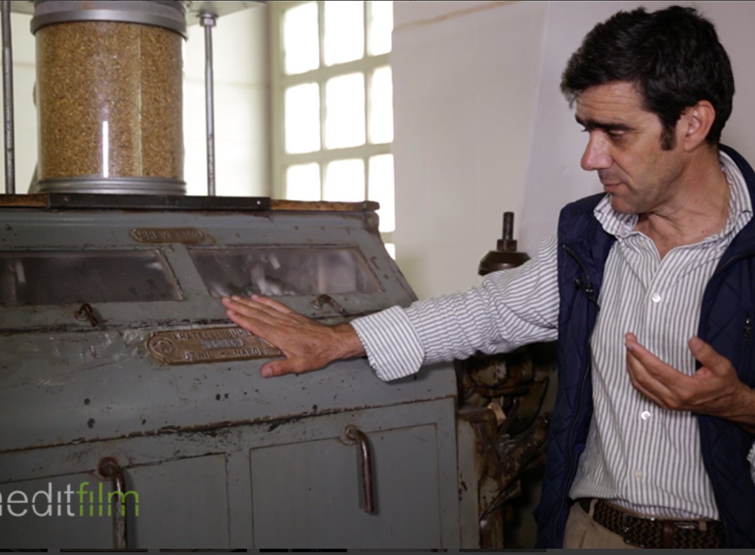 イタリア・プーリア州アルタムラでパスタ工場見学！本場で伝統を守るこだわりの製法を学ぶ