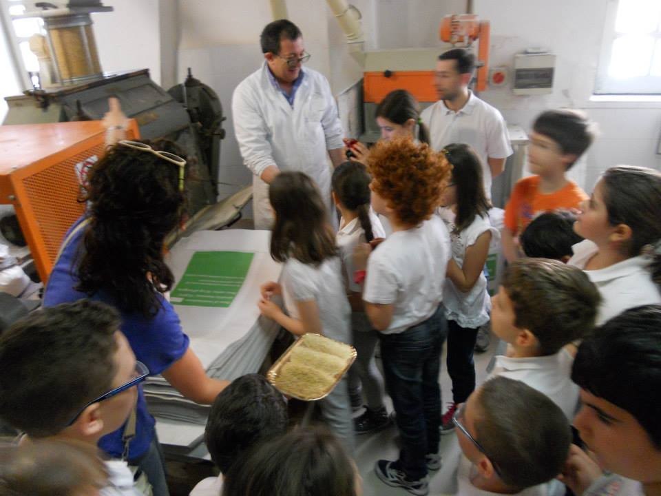 イタリア・プーリア州アルタムラでパスタ工場見学！本場で伝統を守るこだわりの製法を学ぶ