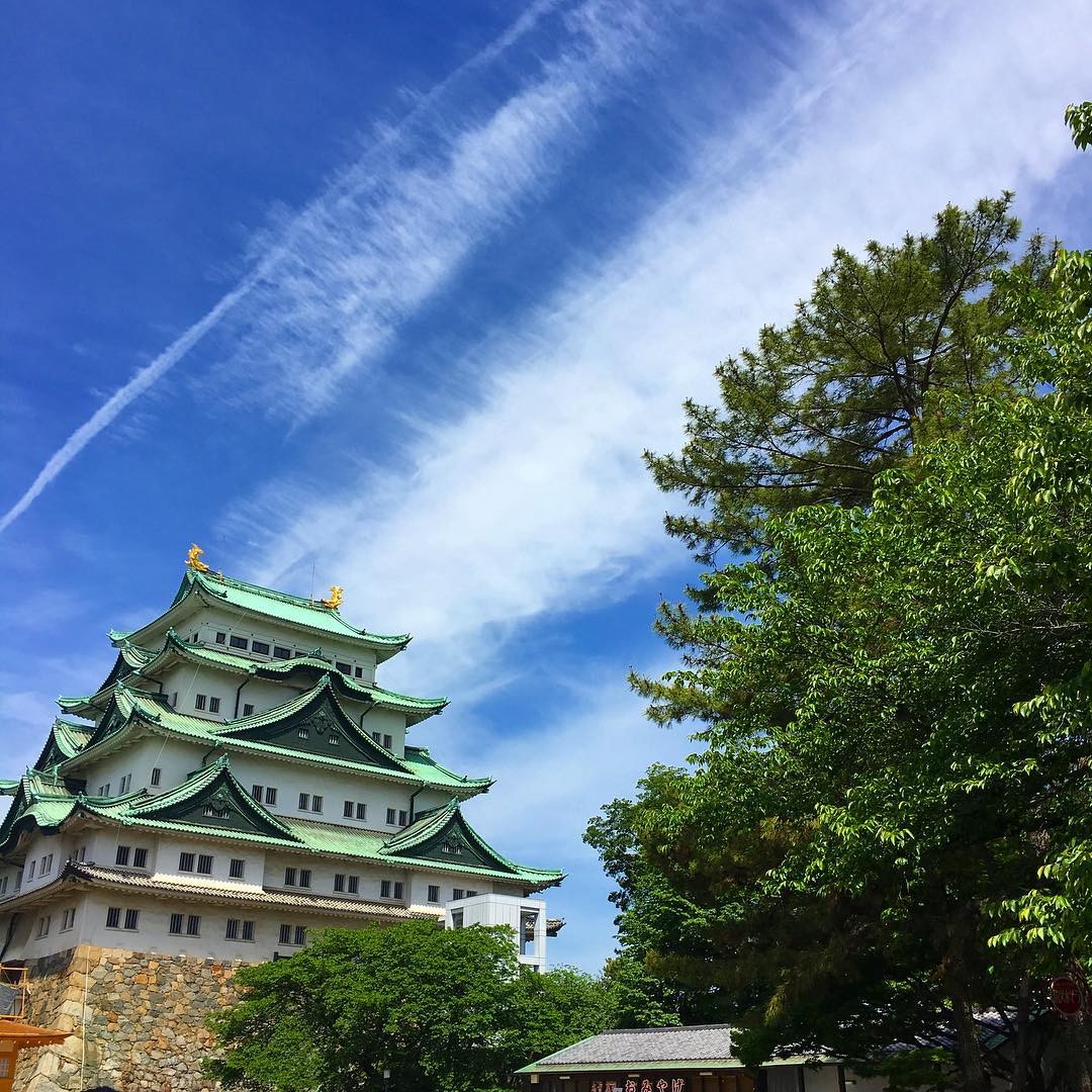 金シャチ・名古屋城の見どころを一挙ご紹介！日本三名城、尾張の歴史スポット大特集
