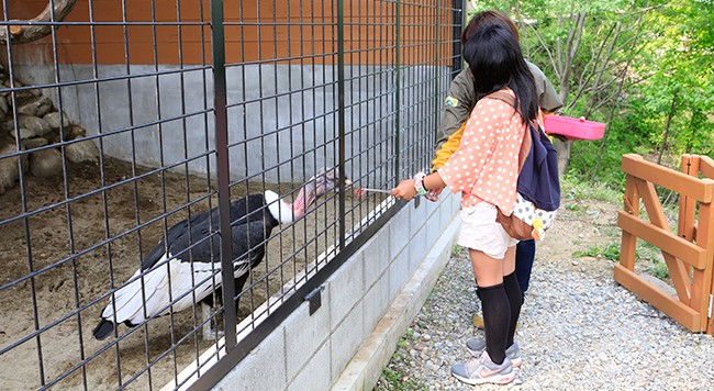 栃木県屈指の動物テーマパーク「那須どうぶつ王国」大特集！癒されアニマル満載の夢の世界へ