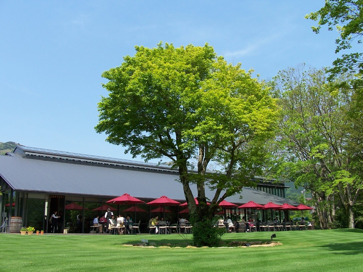 神奈川県箱根・仙石原でおすすめの美術館５選！自然に囲まれたミュージアムでアート三昧