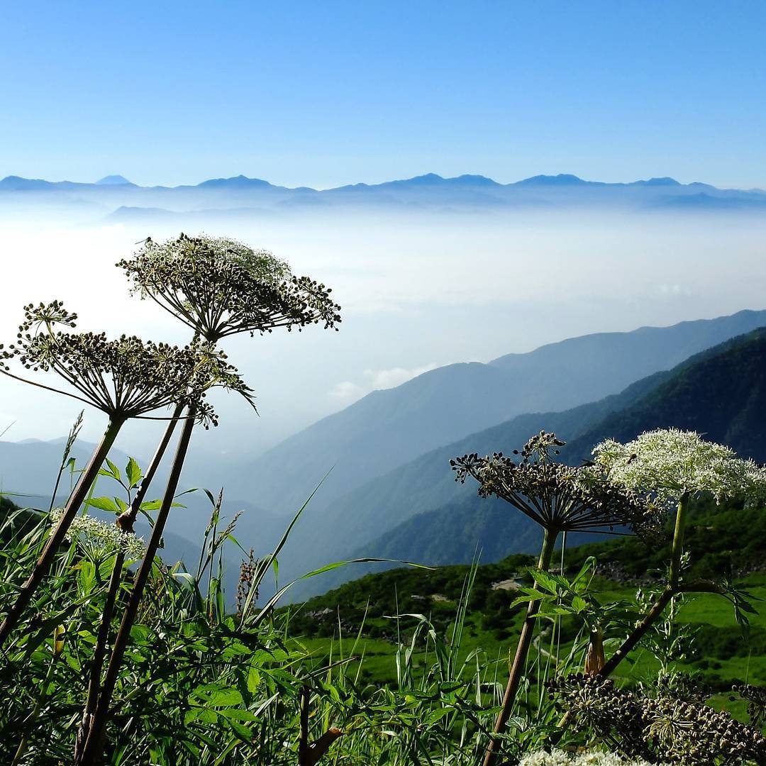 秋の長野「中央アルプス千畳敷カール」の紅葉絶景旅プラン！雲上の世界の魅力に迫る
