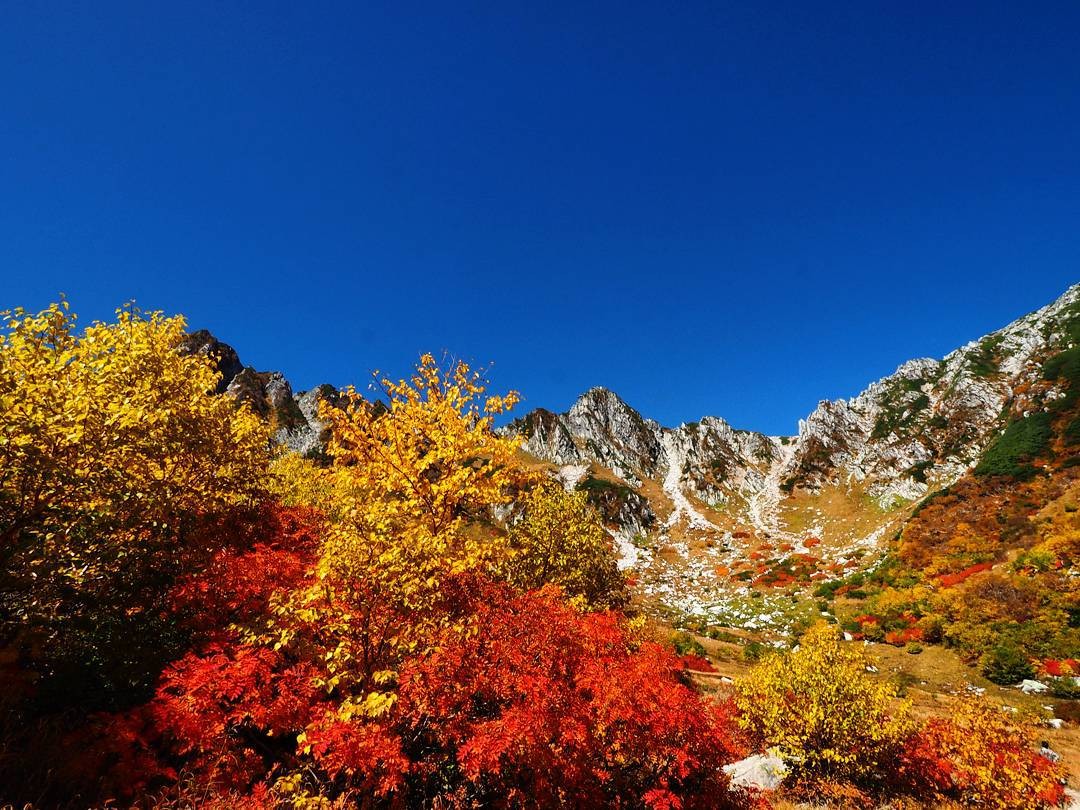 秋の長野「中央アルプス千畳敷カール」の紅葉絶景旅プラン！雲上の世界の魅力に迫る