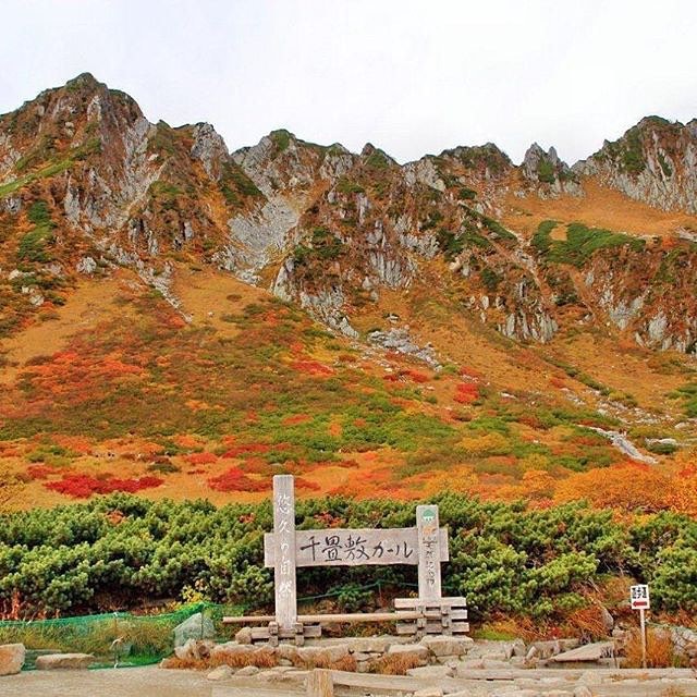 秋の長野「中央アルプス千畳敷カール」の紅葉絶景旅プラン！雲上の世界の魅力に迫る