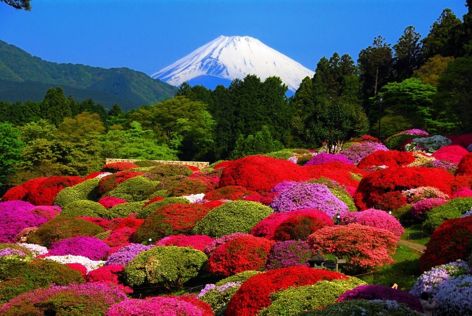 箱根で絶景が堪能できるホテル3選！都心からのアクセスも抜群な自然の一等地にステイしよう