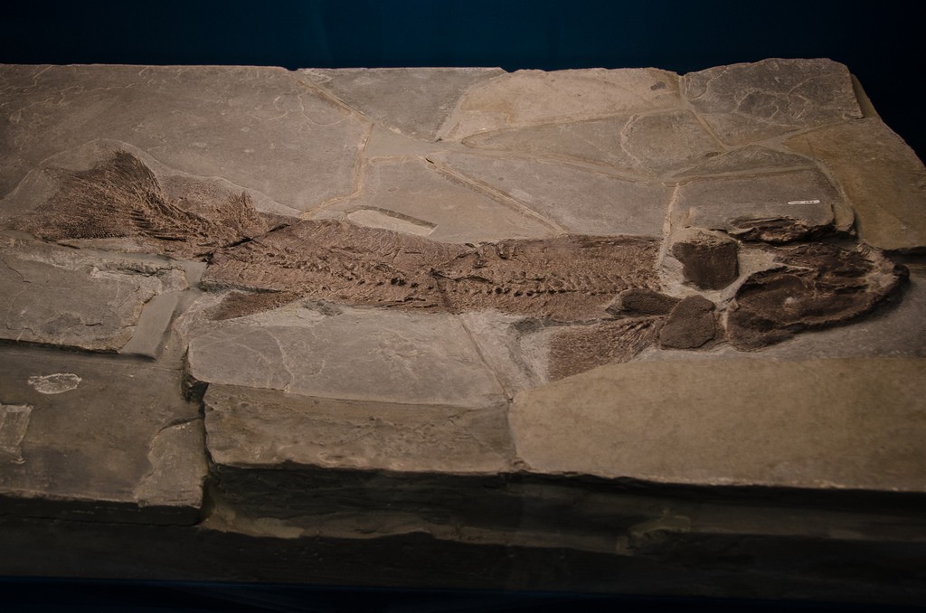 雄大な自然が見事に残るカナダの世界遺産パーク！自然を楽しむおすすめ公園4選