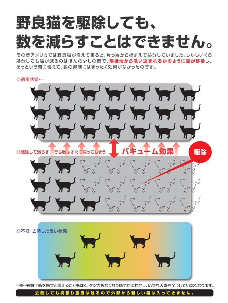 【千葉】野良猫100匹!! 袖ケ浦公園「野良猫集団」特集