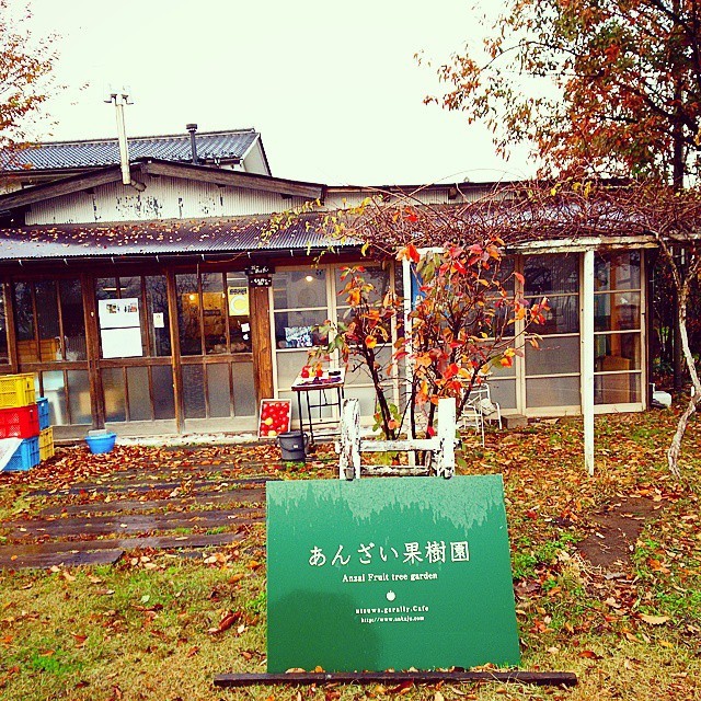 関東・北陸地方でおすすめの駅近果物農園3選！駅から徒歩圏内で果物狩りを楽しもう