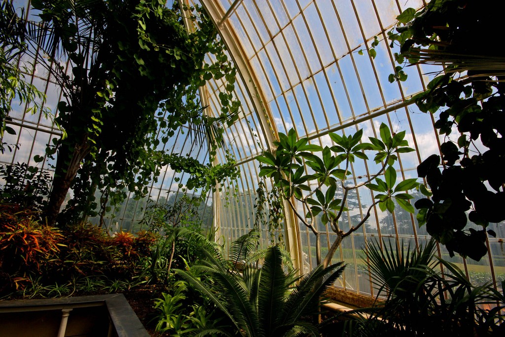イギリス・ロンドン旅行観光ハイライト！世界最大の植物園キュー王立植物園大特集