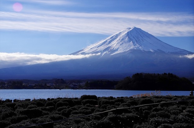 富士山を背景に愛犬と楽しめる！レジーナリゾート富士 Suites＆Spa