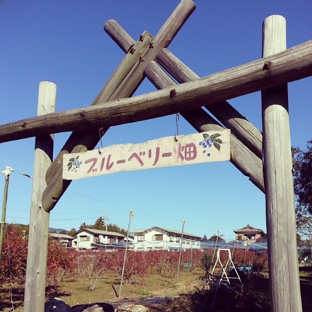 愛知県でおすすめの人気果物農園3選！アクセス抜群、駅近が嬉しいフルーツ園で旬の果物をゲット