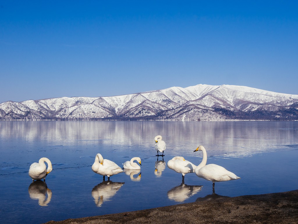 日本一大きなカルデラ屈斜路湖は巨大生物が潜んでいる!? 