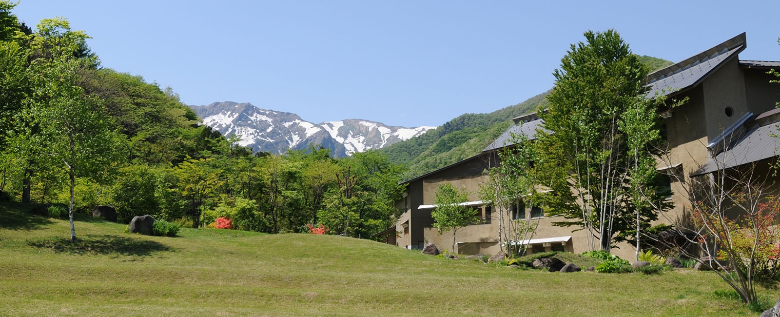 森林浴とはまさにこのこと！群馬・水上温泉郷で温泉旅館に泊まるならここがおすすめ！
