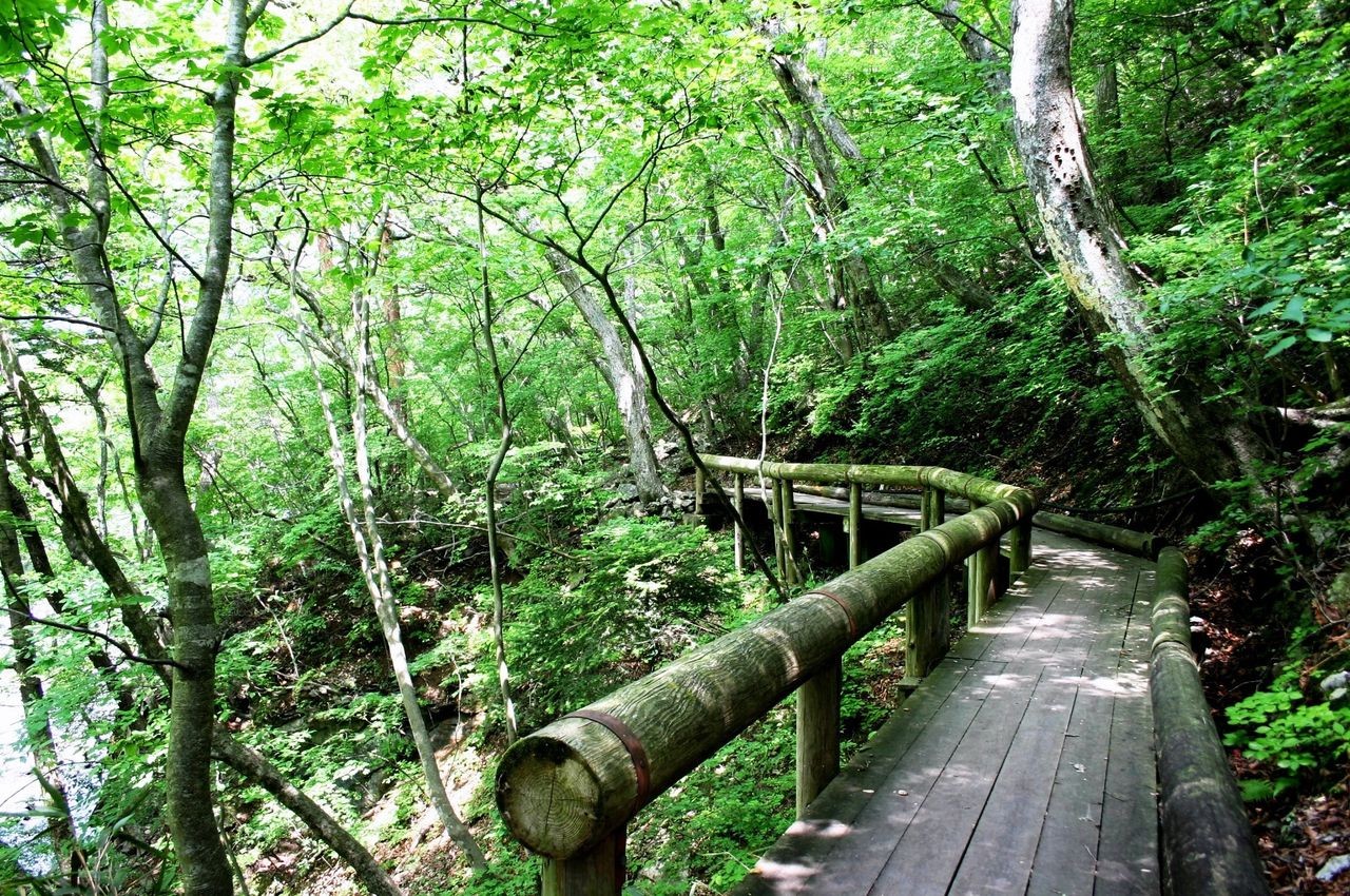 自然とふれあえる栃木・塩原渓谷を散策しながらウオッチング！