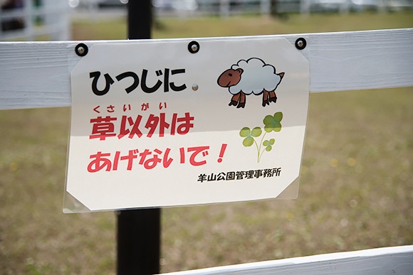 埼玉県にある芝桜で人気の羊山公園にはこんな場所もあった！