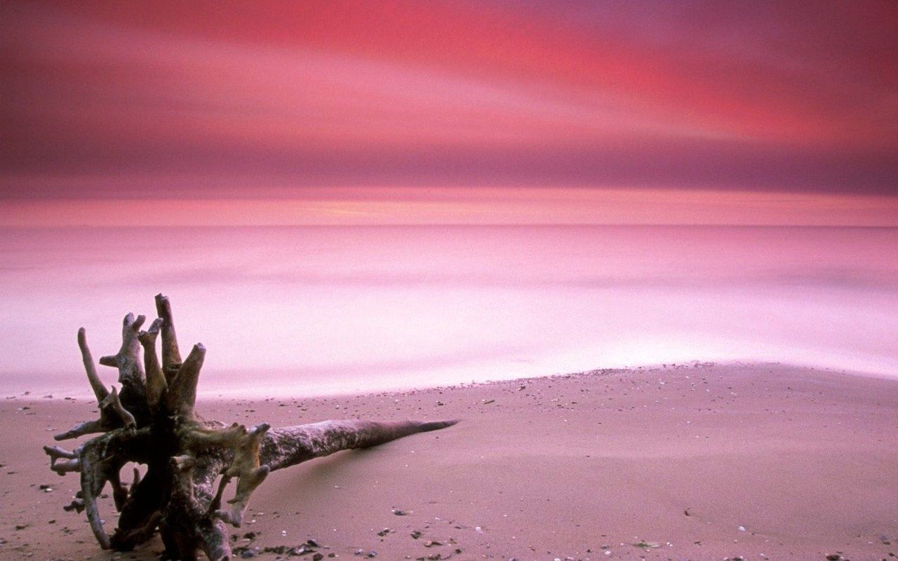 ピンクやグリーンのビーチ？！世界のすごい色ビーチまとめ