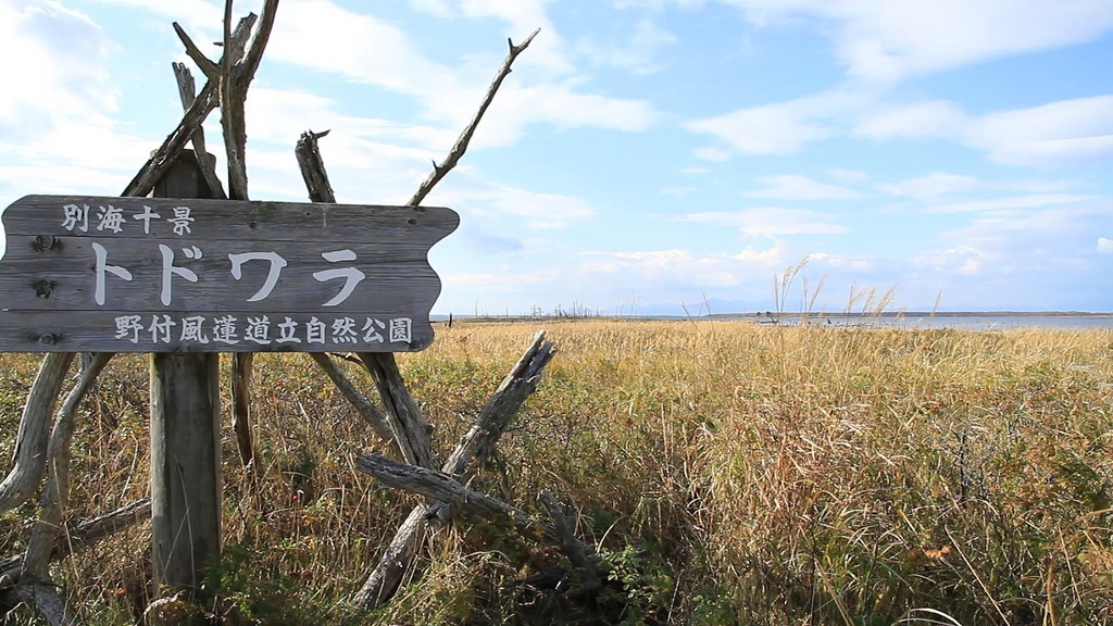ここがこの世の果て！？北海道・野付半島の荒涼とした大地でわびさびを感じる