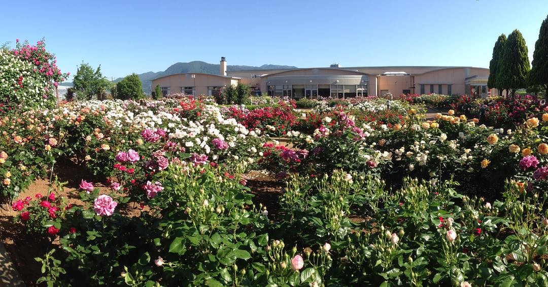 山梨県石和にある薔薇の香り漂うみさかの湯