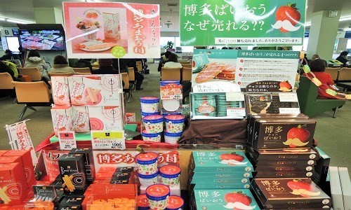 福岡限定のあまおうイチゴをお土産に！おすすめのあまおうみやげをご紹介