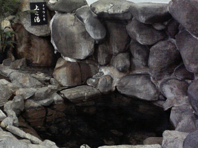 ホタルが見れる旅館！鳥取県にある国登録有形文化財のお宿「旅館大橋」