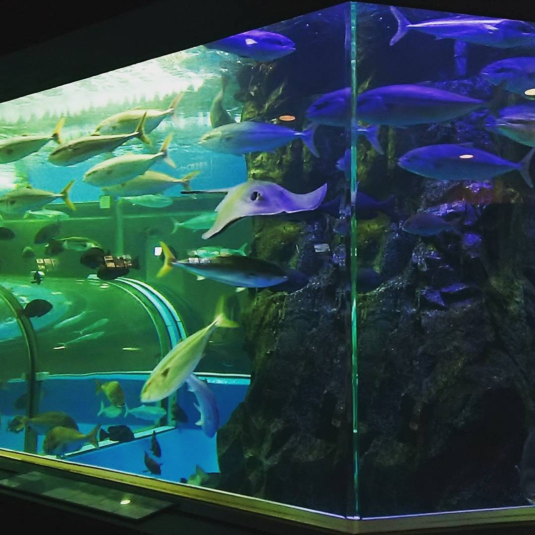 海の神秘を満喫しよう！富山県魚津市&滑川市の見どころ5選
