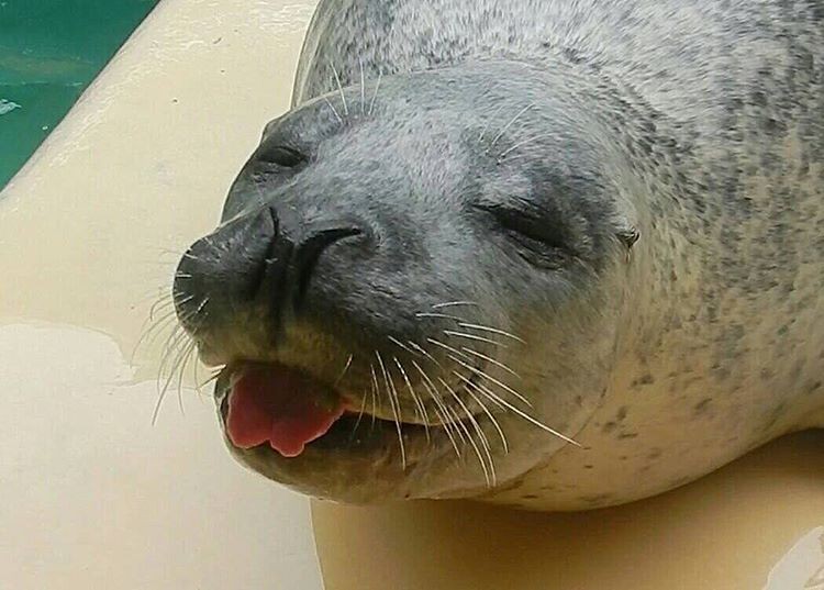 海の神秘を満喫しよう！富山県魚津市&滑川市の見どころ5選