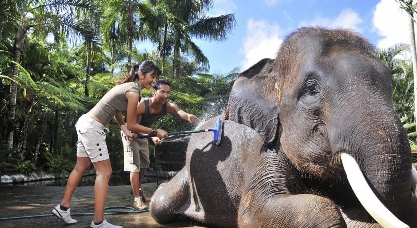 動物好き集合！バリ島で動物たちに囲まれて過ごす特別な休日