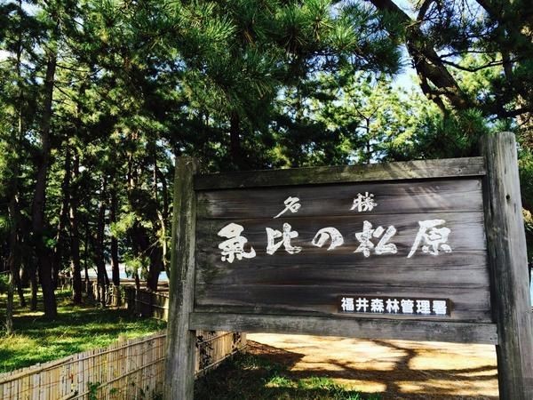 福井県の人気観光スポットおすすめ15選！福井を訪れるなら外せない！ 
