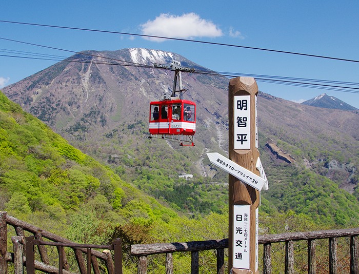 栃木エリアに旅行に行くならコレが便利！おすすめフリーパス４選