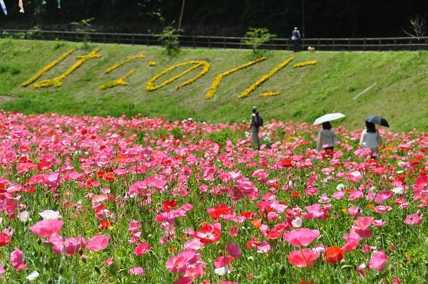 横須賀観光はココへ行こう！鉄板の人気の観光スポットおすすめ15選