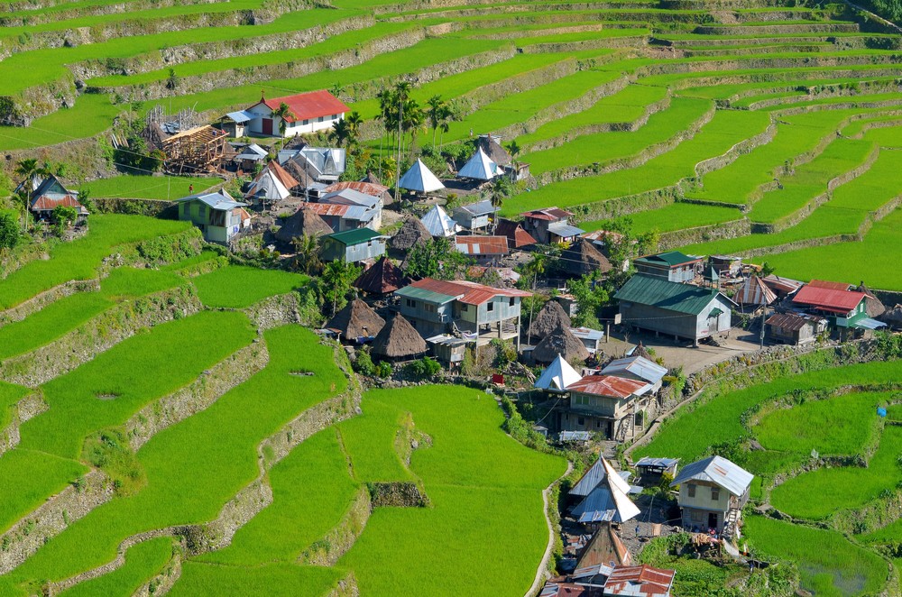 フィリピンの世界遺産！美しすぎる棚田「バナウエ・バタッド村」特集
