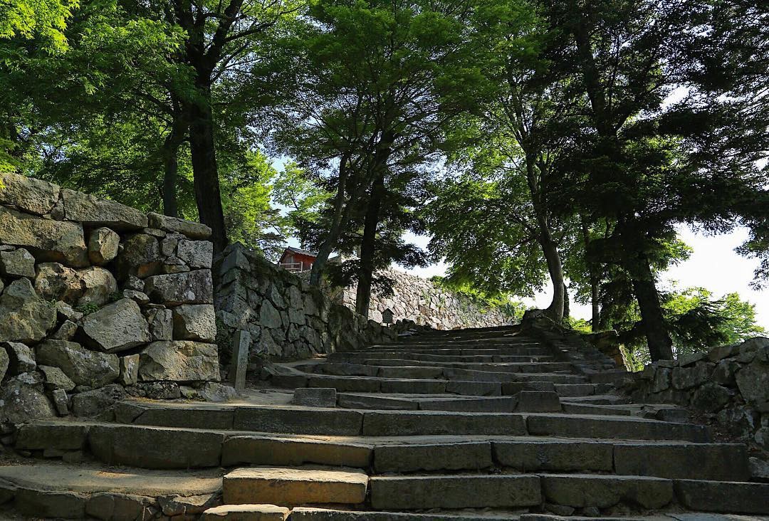 【岡山】雲海に現れる名城！幻想的な「備中松山城」を目指す旅